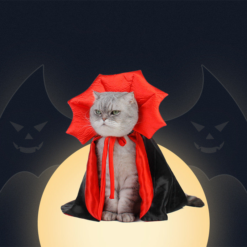Halloween Pet Costume For Your Furry BFF!
