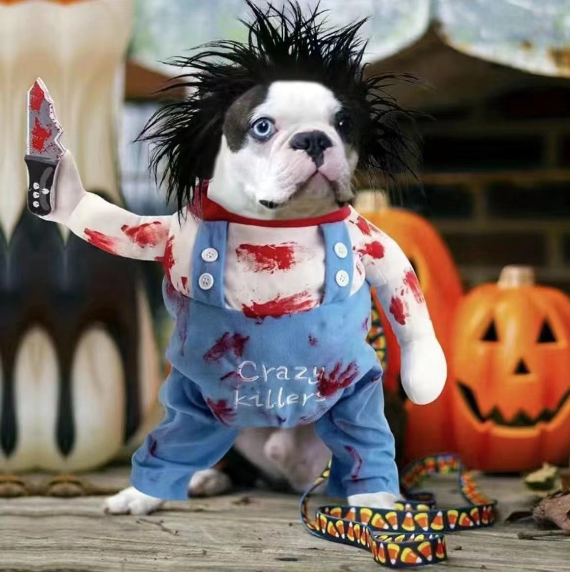 Chucky Dog Costume