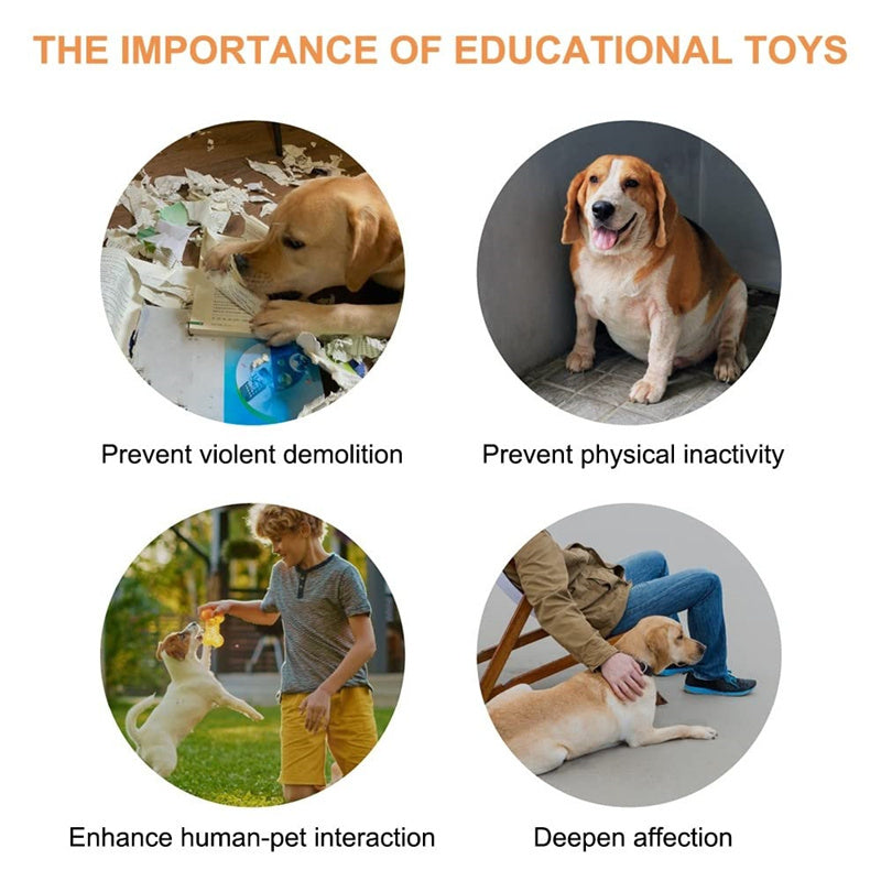 Pet Communication Tool - Teach your dog to talk!